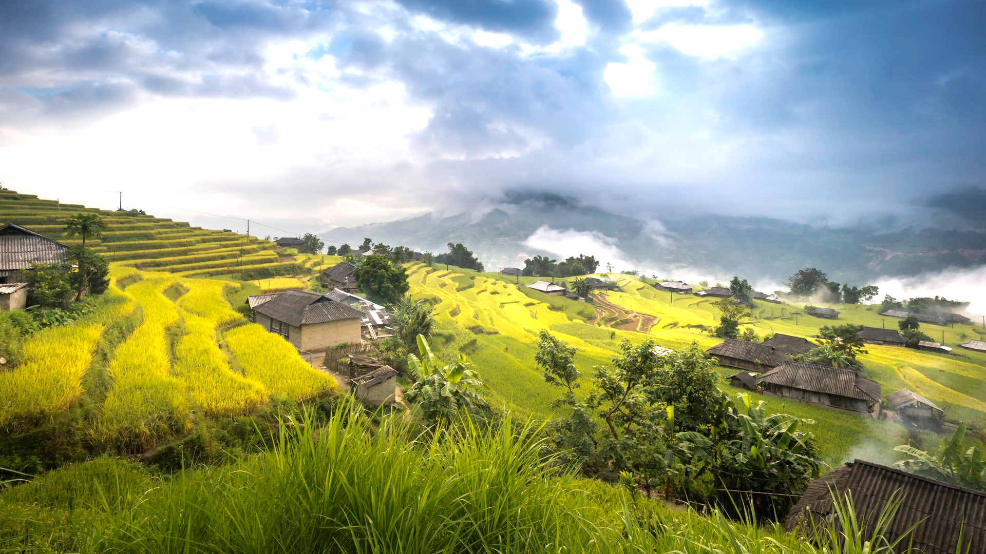 banner-image